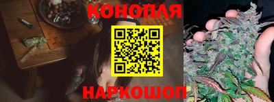 гашик Бузулук